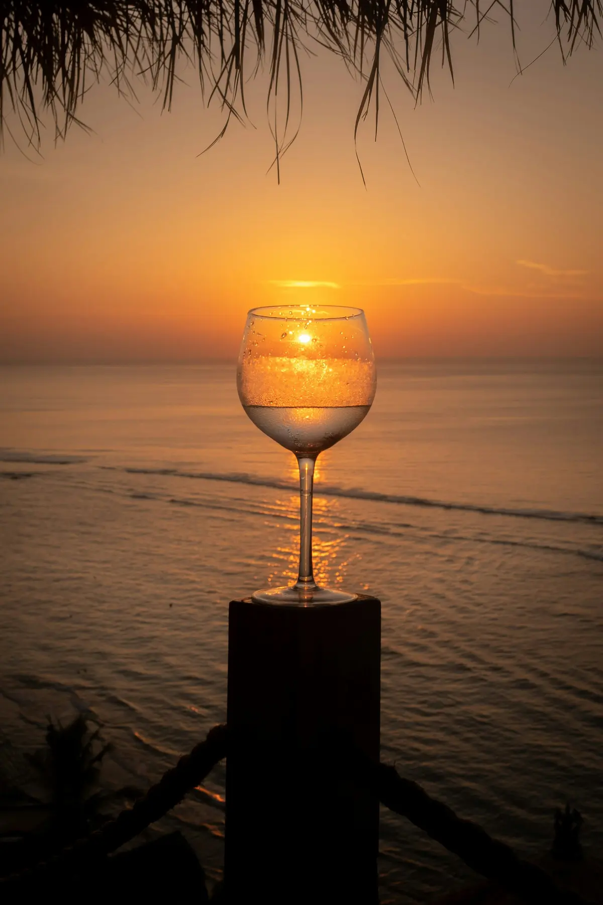 Glass of wine at sunset